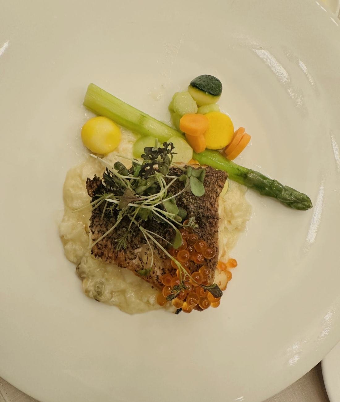 The river: lake trout · white asparagus · trout roe