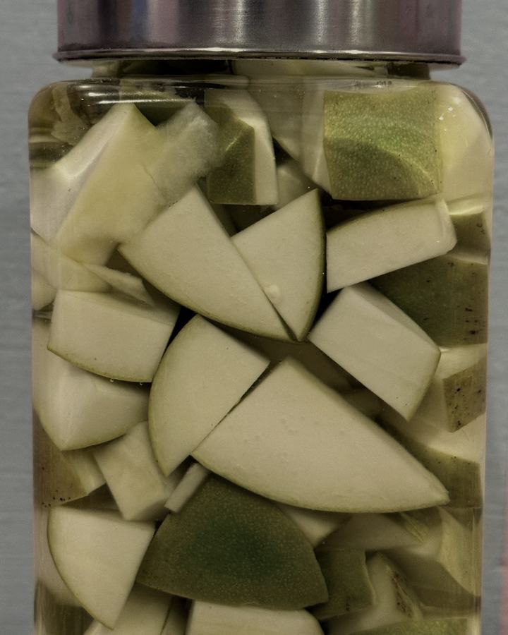 House ferments, a trio