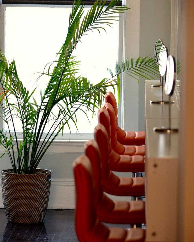Red salon chairs by a window full of plants