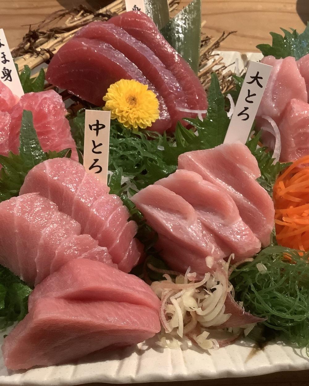 Sashimi of the day